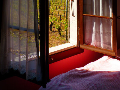 Box 2 Übernachtungen in typischer Capite in den Weinbergen des Lavaux