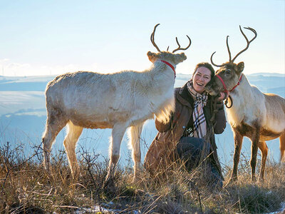 Rentier-Wanderung für 2 mit Picknick im Nahetal