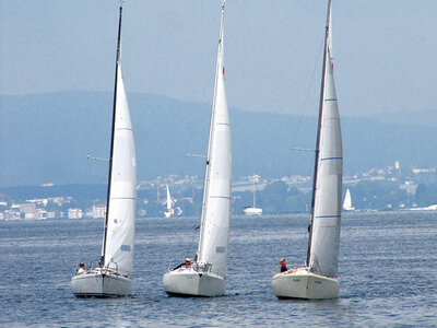 Box Online-Theoriekurs Sportküstenschifferschein für 1 Person