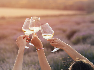 Caja regalo ¡De vinos por España! 1 visita a una bodega y cata de vinos