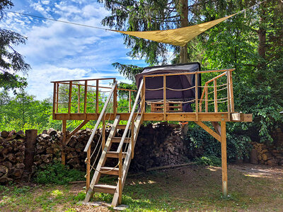 Dormir sous les étoiles : le camping en tente dans la nature allemande