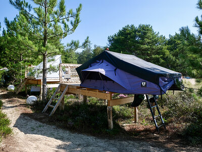 Box Dachzeltcamping für 2 Übernachtungen in der Nähe von Frankfurt