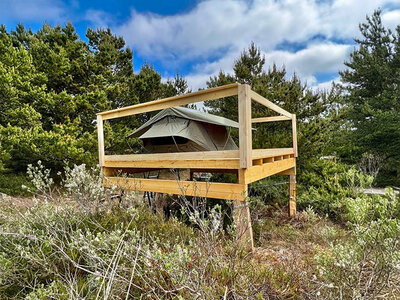 Box Dachzelt-Camping für 2 Übernachtungen in der Nähe von Karlsruhe