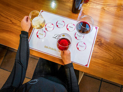 Enología al completo: 1 visita y cata en Bodegas Palacio de Lerma