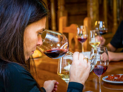 Caja Enología al completo: 1 visita y cata en Bodegas Palacio de Lerma