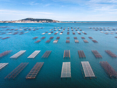 Vol en hélicoptère de 30 min pour 2 personnes au-dessus de Sète et ses environs