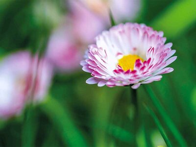 Box Fotokurs för nybörjare