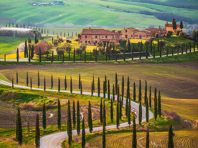 Cofanetto Brindisi tra le vigne: un’esperienza enologica nel Chianti per il neo papà