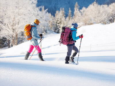 Cofanetto regalo 1 notte con ciaspolata sotto le stelle nel Canton Grigioni