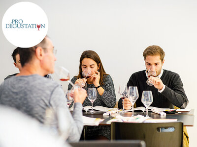 Coffret cadeau Journée d'initiation à l'œnologie pour maîtriser les incontournables du vin avec ProDégustation