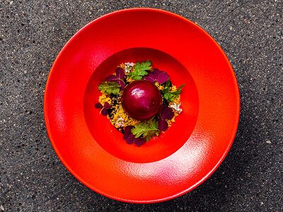 Boks 7-retters middag med vinmenu hos Restaurant Gemini for 2
