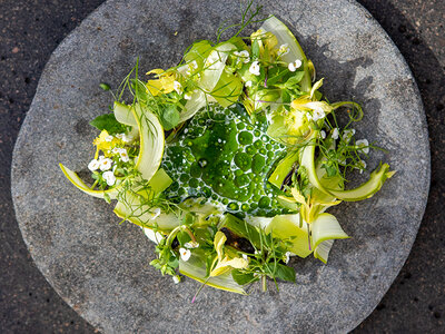 7-retters middag med vinmenu hos Restaurant Gemini for 2