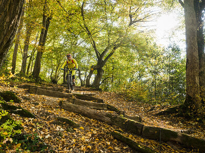 Tour in Mountain bike in uscita dall'ufficio a Basilea