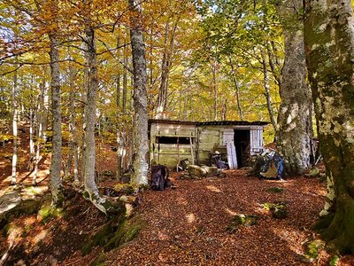 Coffret Mon premier stage de Survie avec Explora Project