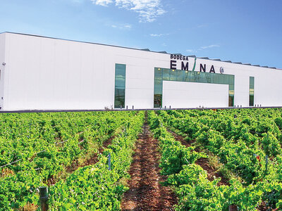 Caja Un planazo entre viñedos y bodegas para ti, mamá... ¡Felicidades!