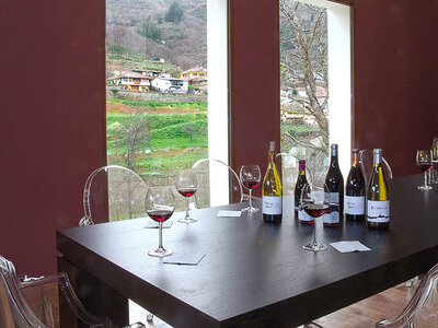 Un planazo entre viñedos y bodegas para ti, mamá... ¡Felicidades!