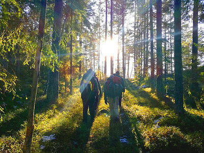 Overlevelseskursus med True Nature Sweden for 1