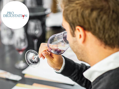 Coffret cadeau Cours d’œnologie Prestige de 2h : grands crus de Bordeaux ou Bourgogne avec ProDégustation