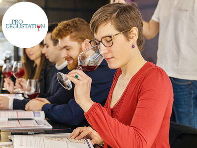 Coffret cadeau Cours d’œnologie de 2h pour explorer le monde du vin avec ProDégustation