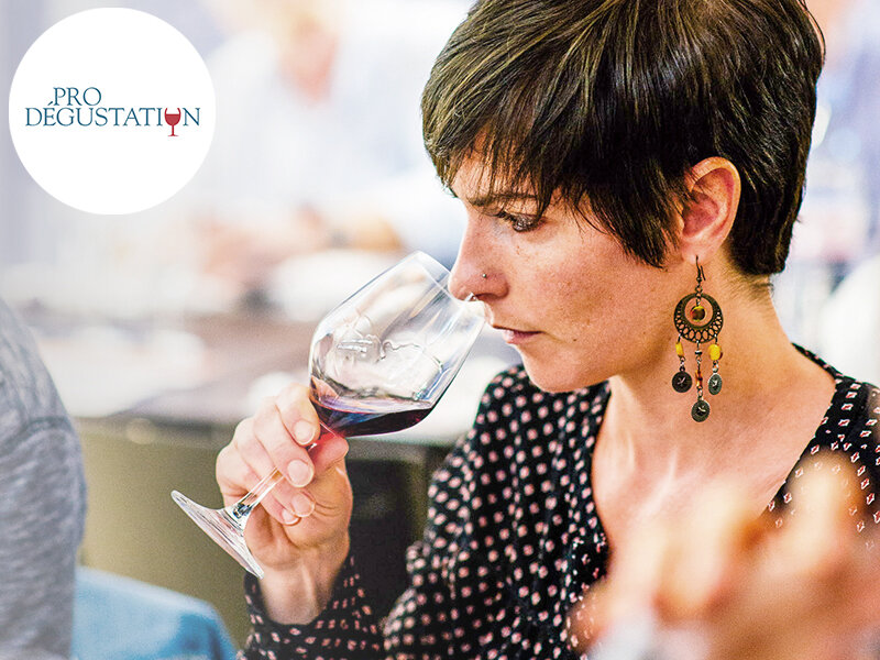 Cours d’œnologie de 4h pour maîtriser les incontournables du vin avec ProDégustation