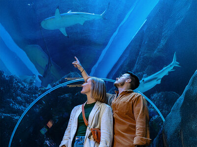 Geschenkbox 2 Eintrittstickets für SEA LIFE Oberhausen für 2 Erwachsene