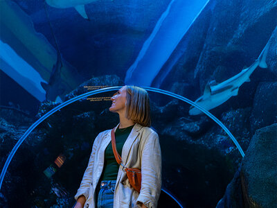 Geschenkbox 1 Eintrittsticket für SEA LIFE Oberhausen für 1 Erwachsenen