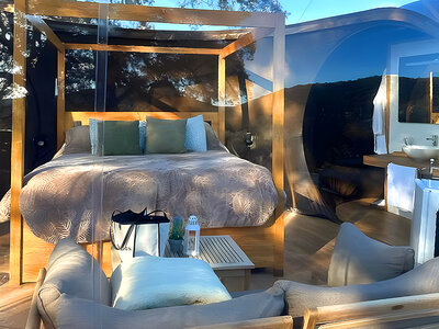 Cortijo Colomo, Córdoba: 1 noche en burbuja bajo las estrellas para 2 personas