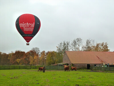 Cadeaubon Limburg van boven: ballonvaart met champagne voor 1 persoon