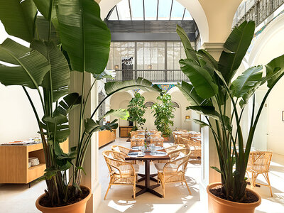 H10 Palacio Colomera 4*: 2 noches con desayuno para 2 personas