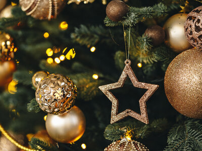 Caja regalo ¡Sorpresa navideña!: sabor, relax o aventura