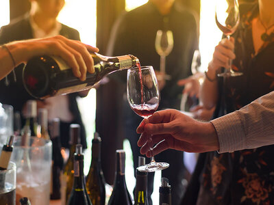 Navidad entre uvas: 1 visita a bodega con cata