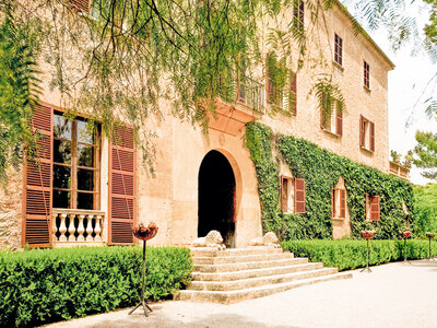 ¡Papá, eres el mejor!