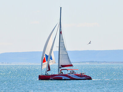 Une fois dans sa vie !