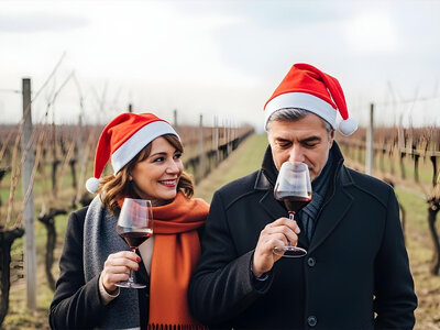 Cofanetto regalo Natale da sorseggiare: 2 notti con degustazione vini