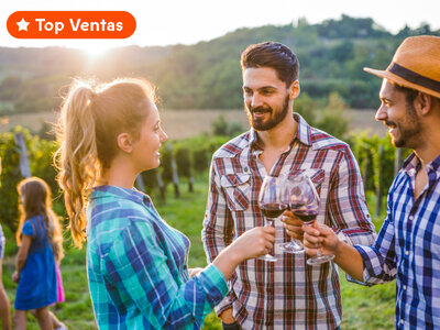 Caja regalo Entre viñedos: 1 noche y cata de vinos