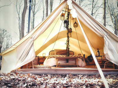 Doos Uniek kerstcadeau: 1 nacht in een boomhut of tiny house
