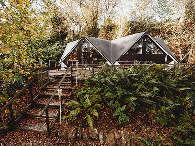 Uniek kerstcadeau: 1 nacht in een boomhut of tiny house