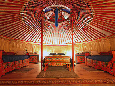 Doos Uniek kerstcadeau: 1 nacht in een boomhut, bubbel of kasteel