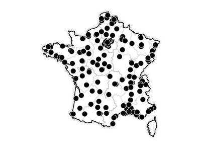 Concerts & Festivals