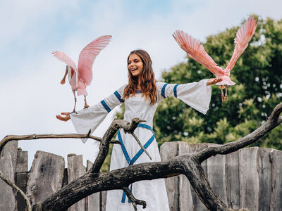 Séjour au Puy du Fou 2026 - 2 jours et 1 nuit à l'hôtel Le Grand Siècle pour 2 adultes
