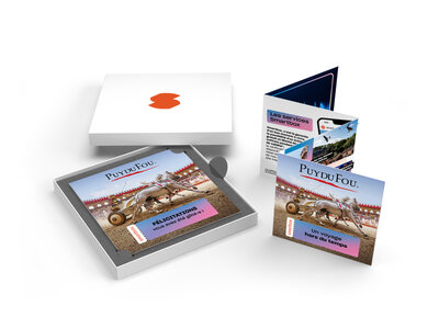 Coffret Une journée au Puy du Fou en 2026 pour 2 adultes