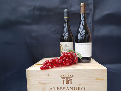 Coffret cadeau Coffret de vins ARTETVINO : 2 bouteilles livrées à domicile