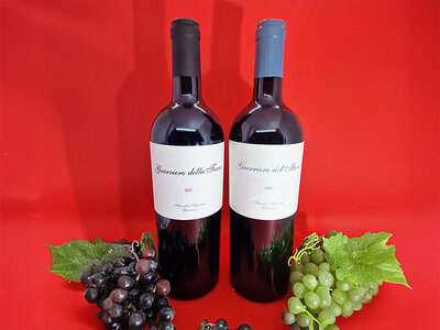 Coffret Coffret de vins ARTETVINO : 2 bouteilles livrées à domicile