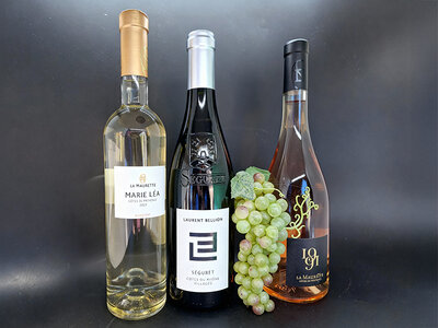Cadeaubon Wijnbox van ARTETVINO: 3 flessen om samen van te genieten