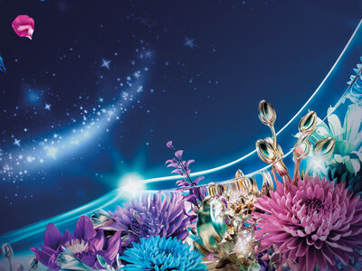 Cenicienta - 2 entradas - 1 noche