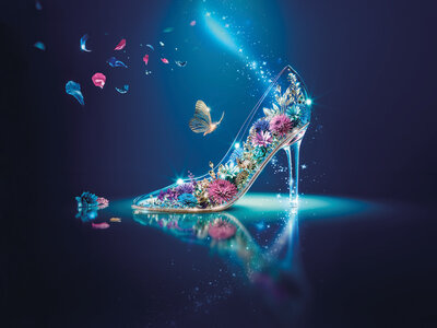 Cenicienta - Entradas para 2