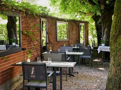 Gault & Millau veganes 3-Gänge-Menü in Luzern