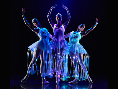 Doos Ontdek culturele hoogtepunten in Antwerpen