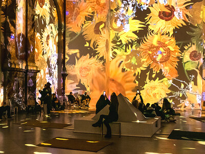 Doos Ontdek culturele evenementen en activiteiten in heel België