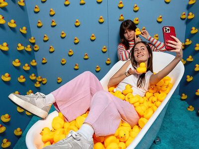 Ontdek culturele evenementen en activiteiten in heel België